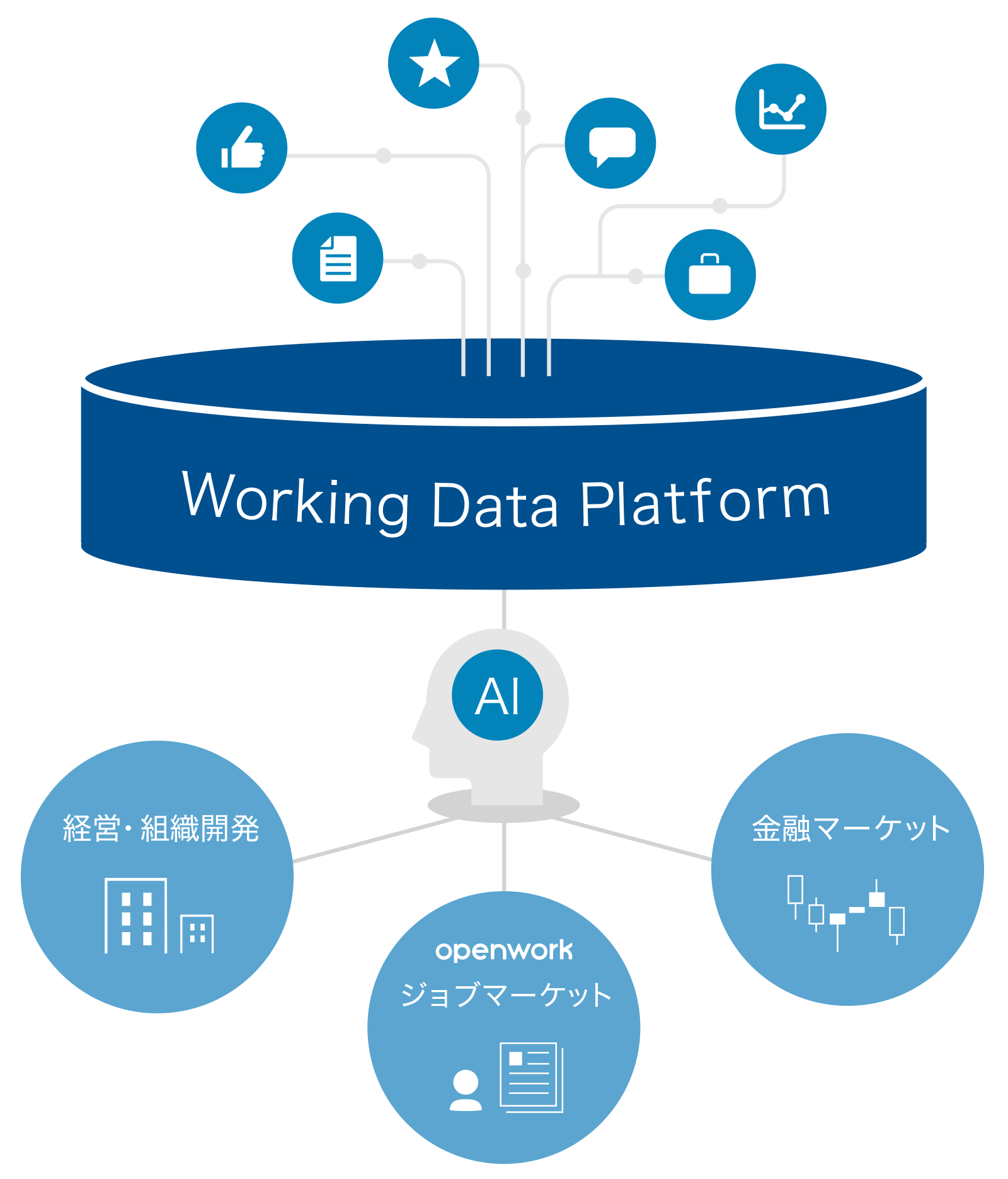 Working Data Platform